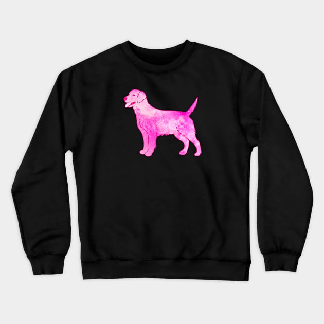 Galaxy Dog Crewneck Sweatshirt by Kelly Louise Art